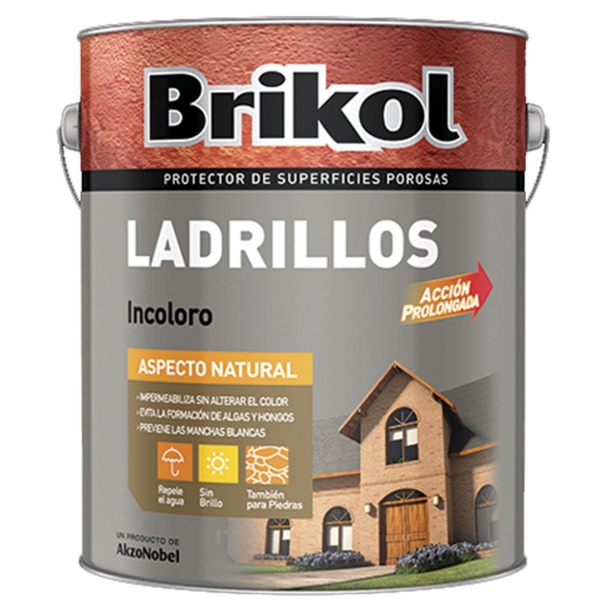 Brikol-ladrillos-incoloro1200.jpg