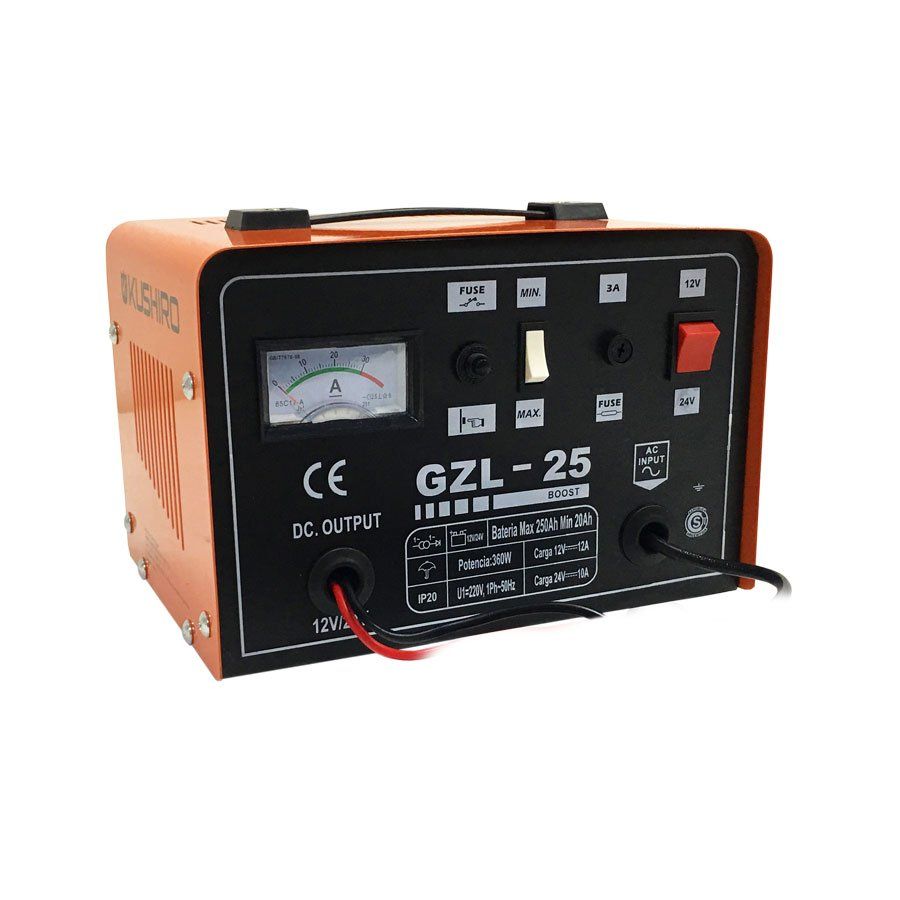 Cargador Bateria Auto Moto 12v 24v 25 Amp 360 W