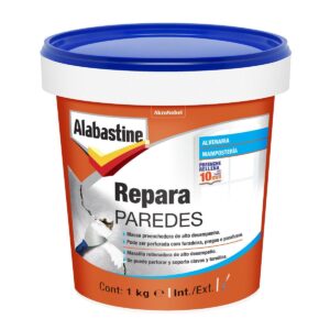 Repara Paredes 1 Kg.